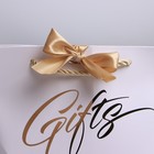 Пакет подарочный, упаковка, «Gifts», 14 х 17 х 7 см - фото 9040046