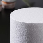 Фальш ярус для торта круглый, d=16 см, h=10 см, пенопласт, белый - Фото 2