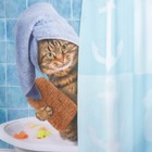 Штора для ванны Доляна «Кто там?», с люверсами, 180×180 см, полиэстер - фото 24662248