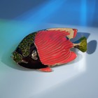 Брошь «Рыбка» морская, цветная в золоте - Фото 1