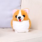 Мягкая игрушка «Корги», 24 см - Фото 1