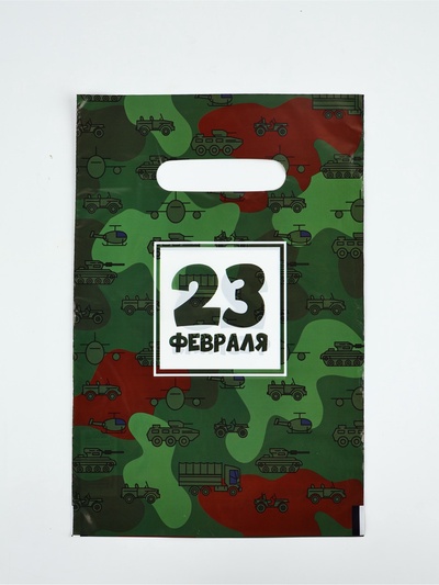 Пакет подарочный «23 февраля», полиэтиленовый с вырубной ручкой, 20×30 см, 30 мк