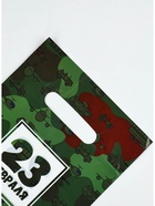 Пакет подарочный «23 февраля», полиэтиленовый с вырубной ручкой, 20×30 см, 30 мк - Фото 2