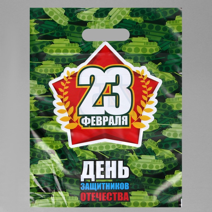 

Пакет "День Защитника Отечества", полиэтиленовый с вырубной ручкой, 30 х 40 см, 50 мк