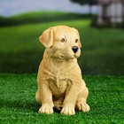Садовая фигура из полистоуна «Щенок лабрадора», 17×12×20 см - Фото 1
