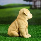 Садовая фигура из полистоуна «Щенок лабрадора», 17×12×20 см - Фото 2