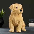 Садовая фигура из полистоуна «Щенок лабрадора», 17×12×20 см - Фото 5