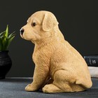 Садовая фигура из полистоуна «Щенок лабрадора», 17×12×20 см - Фото 6