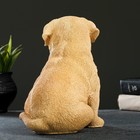 Садовая фигура из полистоуна «Щенок лабрадора», 17×12×20 см - Фото 7