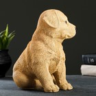Садовая фигура из полистоуна «Щенок лабрадора», 17×12×20 см - Фото 8