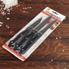 Набор кухонных ножей «Кулинарные изыски», 3 шт: 8 см, 11,5 см, 13 см - Фото 2