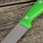 Нож кухонный «Эксперт», лезвие 10,5 см, цвет МИКС - Фото 3