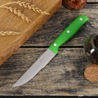 Нож кухонный «Эксперт», лезвие 10,5 см, цвет МИКС - Фото 1
