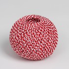 Шпагат хлопчатобумажный, 100 м, цвет МИКС - Фото 1