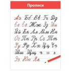 Комплект плакатов «Русский язык» - фото 6507181