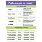 Комплект плакатов «Русский язык» - фото 6507182