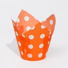 Форма бумажная "Тюльпан", оранжевый в белый горох, 5 х 8 см - Фото 2