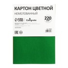 Картон цветной Calligrata, А4, 8 листов, 8 цветов, немелованный, МИКС - Фото 11