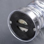 Мельница для специй Доляна «Фигура», пластиковый механизм, 17×6 см, цвет прозрачный - Фото 3