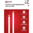 Лампа светодиодная IN HOME LED T8 М PRO, G13, 10 Вт, 230 В, 6500 К, 1000 Лм, 600 мм, матовая - Фото 2