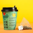 Чай в пирамидке «Проблема», вкус: кокосовая мята, 3 г. - Фото 6
