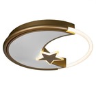 Люстра с ПДУ 2221/1 LED 110Вт диммер золото 48х48х7 см BayerLux - Фото 2