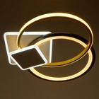 Люстра с ПДУ 2223/1 LED 160Вт диммер бело-черный 50х50х7 см BayerLux - фото 24578501