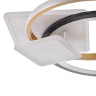 Люстра с ПДУ 2223/1 LED 160Вт диммер бело-черный 50х50х7 см BayerLux - фото 24578506