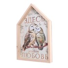 Ключница настенная «Совы в доме», 19,9 х 29,3 см. 7504600 - фото 16618498