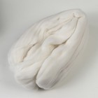 Волокно для валяния Валяшка LG_Austaralia Merino шерсть 100% 100 гр (964 Ультрабелый) - Фото 2