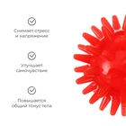 Массажёр ONLYTOP «Ёжик», d=5 см, 17 г, красный - Фото 3