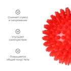 Массажер ONLYTOP «Ёжик», d=9 см, 90 г, красный - Фото 3