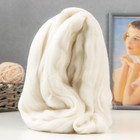 Волокно для валяния Валяшка LG_Wool Fine тонкая шерсть 100% 100 гр (964 Ультрабелый) - Фото 1
