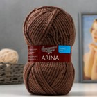 Пряжа Arina (АринаПШ) 50% шерсть, 50% акрил 123м/100гр какао_NEW (13378) 7503945 - фото 9484737