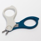 Набор маникюрный детский «Обезьянка»: ножницы, щипчики, пилочка, пинцет, цвет синий 6931021