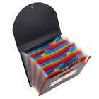 Папка на резинке А4, 24 отделения (разноцветные), чёрная - фото 6509254