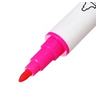 Набор маркеров 12 цветов, двусторонние, пулевидный и скошенный наконечники - Фото 10