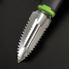 Рыбочистка Доляна Lime, 19×2,5 см, цвет чёрно-зелёный 7139515