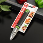 Рыбочистка Доляна Lime, 19×2,5 см, цвет чёрно-зелёный 7139515