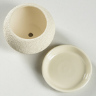 Горшок для цветов "Шар", шёлк, бежевый, керамика, 0.4 л - Фото 2