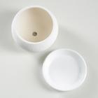 Горшок для цветов "Шар", шёлк, белый, керамика, 0.4 л - Фото 2