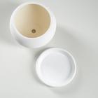 Горшок для цветов "Шар", шёлк, белый, 1.4 л - Фото 2