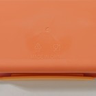 Ланч - бокс для еды Доляна «Классика», пластик, 2 отделения, в школу, 18×18×6 см, оранжевый - Фото 5