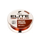 Леска монофильная Salmo Elite CARP & BIG FISH, диаметр 0.3 мм, тест 8.65 кг, 200 м, коричневая 7594713 - фото 9598727