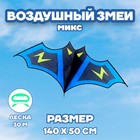 Воздушный змей Funny toys «Летучая Мышь», МИКС - Фото 1