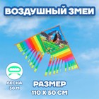 Воздушный змей «Орёл» 7361083 - фото 9487297