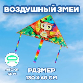 Воздушный змей «Сова» 7361102