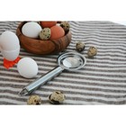 Сепаратор для яиц Доляна, нержавеющая сталь, цвет хромированный - фото 9487399