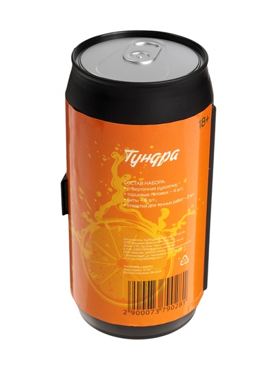 Набор инструментов ТУНДРА, подарочный пластиковый кейс «Банка», 13 предметов