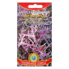 Семена Капуста японская "Мизуна Ред", 0,2 г - Фото 1